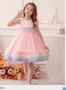 Girls Ruffled Net Fit & Flare Dress